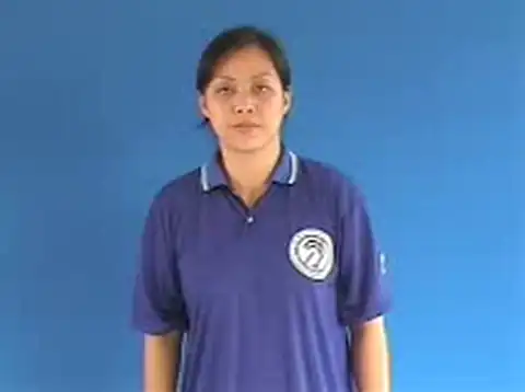kiểu dáng - Ngôn Ngữ ký Hiệu - Vùng miền Hà Nội - Phân loại Tin học