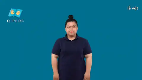 lễ vật - Ngôn Ngữ ký Hiệu - Vùng miền Toàn Quốc - Phân loại Đồ vật, Lễ hội, Danh Từ
