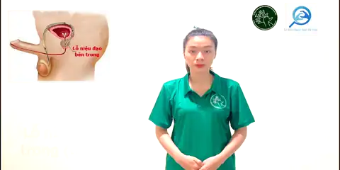 lỗ niệu đạo trong (nam) - Ngôn Ngữ ký Hiệu - Vùng miền Thành Phố Hồ Chí Minh - Phân loại Sức khỏe - Bộ phận cơ thể, Danh Từ, Dự Án 250 Ký Hiệu Y Khoa