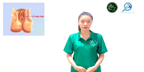 lỗ niệu đạo trong (nữ) - Ngôn Ngữ ký Hiệu - Vùng miền Thành Phố Hồ Chí Minh - Phân loại Sức khỏe - Bộ phận cơ thể, Danh Từ, Dự Án 250 Ký Hiệu Y Khoa