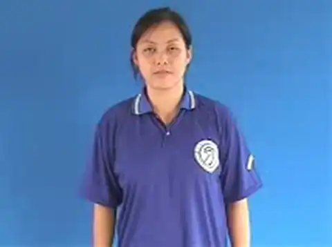lỗi - Ngôn Ngữ ký Hiệu - Vùng miền Hà Nội - Phân loại Tin học