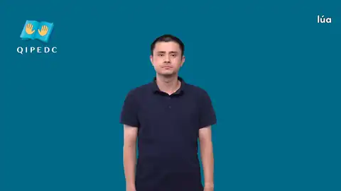 lúa - Ngôn Ngữ ký Hiệu - Vùng miền Toàn Quốc - Phân loại Thực Vật, Danh Từ