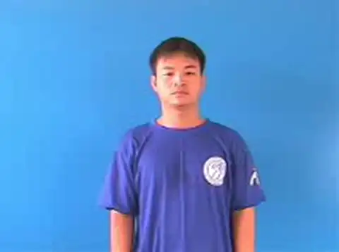mặc định - Ngôn Ngữ ký Hiệu - Vùng miền Hà Nội - Phân loại Tin học