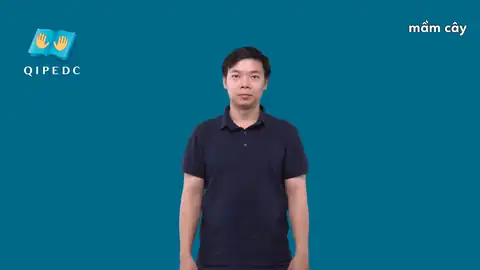 mầm cây - Ngôn Ngữ ký Hiệu - Vùng miền Toàn Quốc - Phân loại Thực Vật