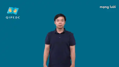 mạng lưới - Ngôn Ngữ ký Hiệu - Vùng miền Toàn Quốc - Phân loại Tin học, Danh Từ