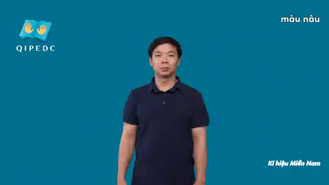 màu nâu - Ngôn Ngữ ký Hiệu - Vùng miền Thành Phố Hồ Chí Minh - Phân loại Màu Sắc