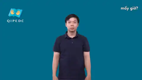 mấy giờ? - Ngôn Ngữ ký Hiệu - Vùng miền Toàn Quốc - Phân loại