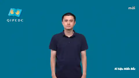 mới - Ngôn Ngữ ký Hiệu - Vùng miền Hà Nội - Phân loại