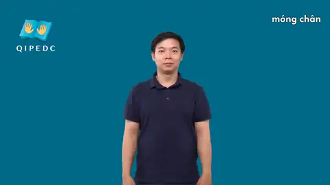 móng chân - Ngôn Ngữ ký Hiệu - Vùng miền Toàn Quốc - Phân loại