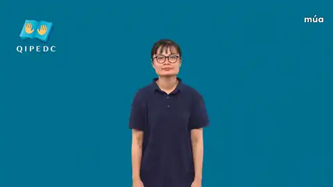 múa - Ngôn Ngữ ký Hiệu - Vùng miền Toàn Quốc - Phân loại