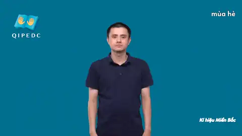 mùa hè - Ngôn Ngữ ký Hiệu - Vùng miền Hà Nội - Phân loại