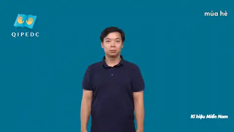 mùa hè - Ngôn Ngữ ký Hiệu - Vùng miền Thành Phố Hồ Chí Minh - Phân loại