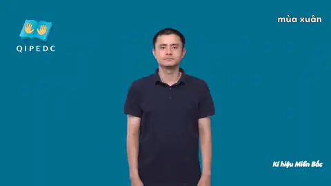 mùa xuân - Ngôn Ngữ ký Hiệu - Vùng miền Hà Nội - Phân loại