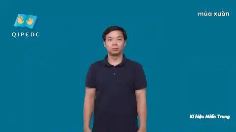 mùa xuân - Ngôn Ngữ ký Hiệu - Vùng miền Huế - Phân loại