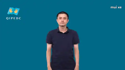 mui xe - Ngôn Ngữ ký Hiệu - Vùng miền Toàn Quốc - Phân loại