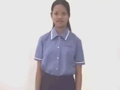muỗi - Ngôn Ngữ ký Hiệu - Vùng miền Bình Dương - Phân loại Con vật