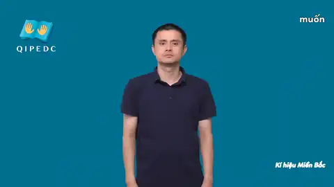 muốn - Ngôn Ngữ ký Hiệu - Vùng miền Hà Nội - Phân loại