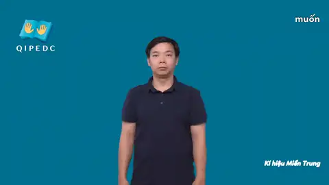 muốn - Ngôn Ngữ ký Hiệu - Vùng miền Huế - Phân loại