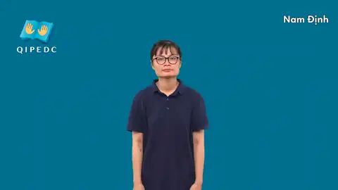 Nam Định - Ngôn Ngữ ký Hiệu - Vùng miền Toàn Quốc - Phân loại