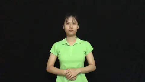 nếu - Ngôn Ngữ ký Hiệu - Vùng miền Thành Phố Hồ Chí Minh - Phân loại Từ thông dụng