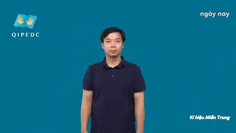 ngày nay - Ngôn Ngữ ký Hiệu - Vùng miền Huế - Phân loại