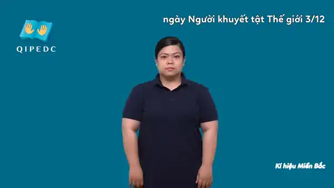 ngày Người khuyết tật Thế giới 3/12 - Ngôn Ngữ ký Hiệu - Vùng miền Hà Nội - Phân loại Lễ hội