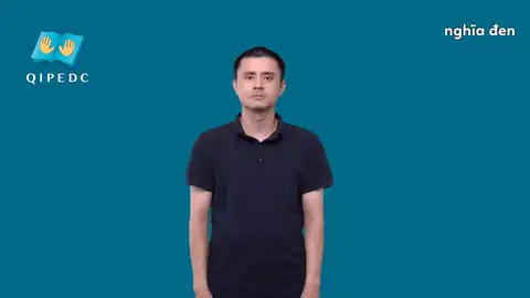 nghĩa đen - Ngôn Ngữ ký Hiệu - Vùng miền Toàn Quốc - Phân loại