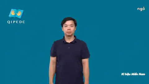 ngô - Ngôn Ngữ ký Hiệu - Vùng miền Thành Phố Hồ Chí Minh - Phân loại
