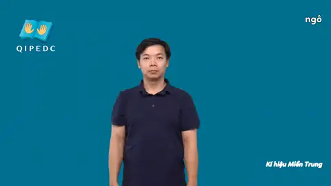 ngô - Ngôn Ngữ ký Hiệu - Vùng miền Huế - Phân loại