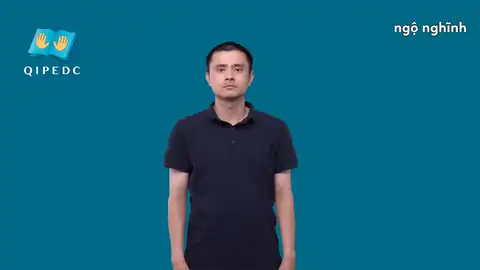 ngộ nghĩnh - Ngôn Ngữ ký Hiệu - Vùng miền Toàn Quốc - Phân loại