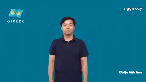 ngọn cây - Ngôn Ngữ ký Hiệu - Vùng miền Thành Phố Hồ Chí Minh - Phân loại