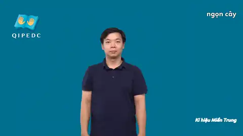 ngọn cây - Ngôn Ngữ ký Hiệu - Vùng miền Huế - Phân loại