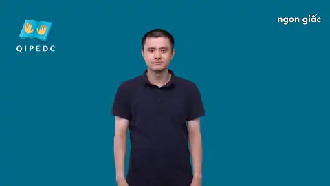 ngon giấc - Ngôn Ngữ ký Hiệu - Vùng miền Toàn Quốc - Phân loại