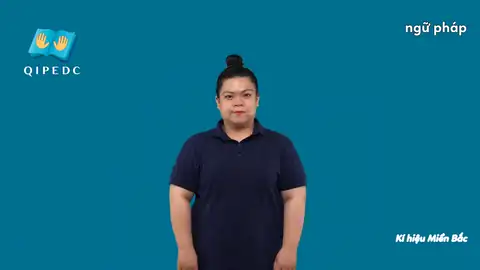 ngữ pháp - Ngôn Ngữ ký Hiệu - Vùng miền Hà Nội - Phân loại