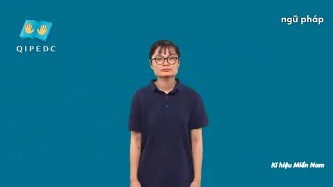 ngữ pháp - Ngôn Ngữ ký Hiệu - Vùng miền Thành Phố Hồ Chí Minh - Phân loại