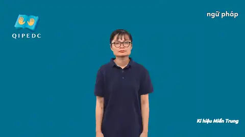 ngữ pháp - Ngôn Ngữ ký Hiệu - Vùng miền Huế - Phân loại