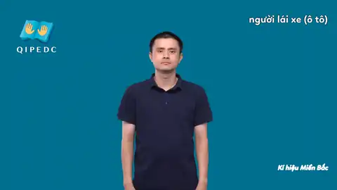 người lái xe (ô tô) - Ngôn Ngữ ký Hiệu - Vùng miền Hà Nội - Phân loại