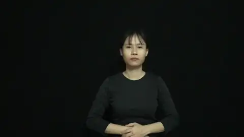 nhận xét - Ngôn Ngữ ký Hiệu - Vùng miền Thành Phố Hồ Chí Minh - Phân loại Hành động