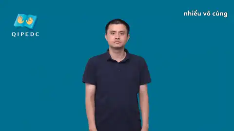 nhiều vô cùng - Ngôn Ngữ ký Hiệu - Vùng miền Toàn Quốc - Phân loại