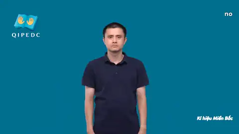 no - Ngôn Ngữ ký Hiệu - Vùng miền Hà Nội - Phân loại