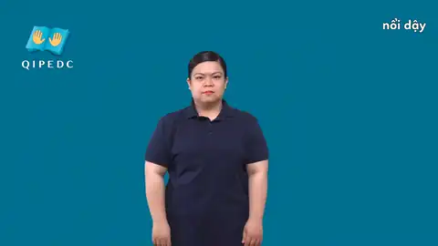 nổi dậy - Ngôn Ngữ ký Hiệu - Vùng miền Toàn Quốc - Phân loại