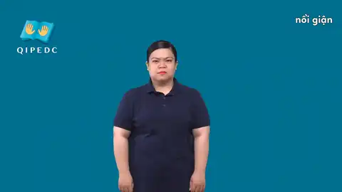 nổi giận - Ngôn Ngữ ký Hiệu - Vùng miền Toàn Quốc - Phân loại