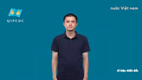 nước Việt nam - Ngôn Ngữ ký Hiệu - Vùng miền Hà Nội - Phân loại