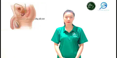 ống dẫn tinh - Ngôn Ngữ ký Hiệu - Vùng miền Thành Phố Hồ Chí Minh - Phân loại Sức khỏe - Bộ phận cơ thể, Danh Từ, Dự Án 250 Ký Hiệu Y Khoa