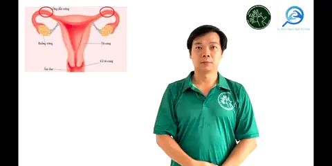 ống dẫn trứng (1) - Ngôn Ngữ ký Hiệu - Vùng miền Thành Phố Hồ Chí Minh - Phân loại Sức khỏe - Bộ phận cơ thể, Danh Từ, Dự Án 250 Ký Hiệu Y Khoa