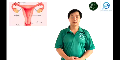 ống dẫn trứng (2) - Ngôn Ngữ ký Hiệu - Vùng miền Thành Phố Hồ Chí Minh - Phân loại Sức khỏe - Bộ phận cơ thể, Danh Từ, Dự Án 250 Ký Hiệu Y Khoa