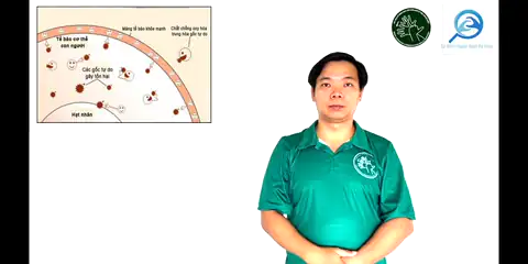oxy hóa - Ngôn Ngữ ký Hiệu - Vùng miền Thành Phố Hồ Chí Minh - Phân loại Sức khỏe - Bộ phận cơ thể, Tính Từ, Dự Án 250 Ký Hiệu Y Khoa