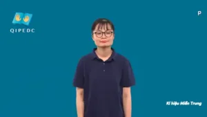 p – Ngôn Ngữ ký Hiệu – Vùng miền Miền Trung – Phân loại Chữ cái