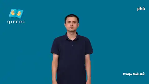 phá - Ngôn Ngữ ký Hiệu - Vùng miền Hà Nội - Phân loại