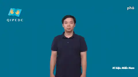 phá - Ngôn Ngữ ký Hiệu - Vùng miền Thành Phố Hồ Chí Minh - Phân loại